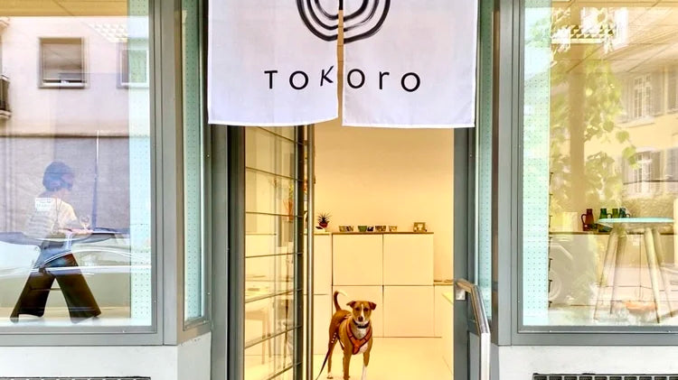 Tokoro Pop-Up Store in Zürich