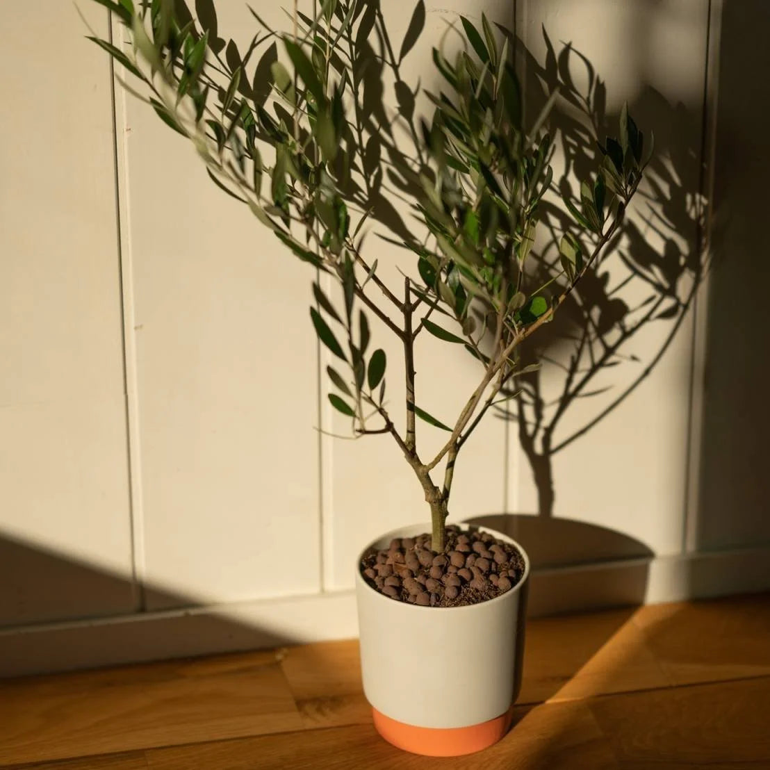 ground_grip Übertopf Orange M-Shinzangama Yamatsu-Tokoro