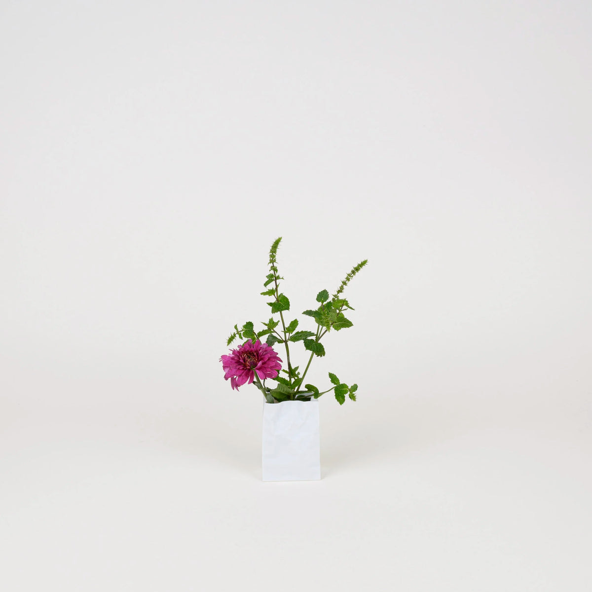 Crinkle Bag Vase | Ceramic Japan-Ceramic Japan-X-Small-Tokoro