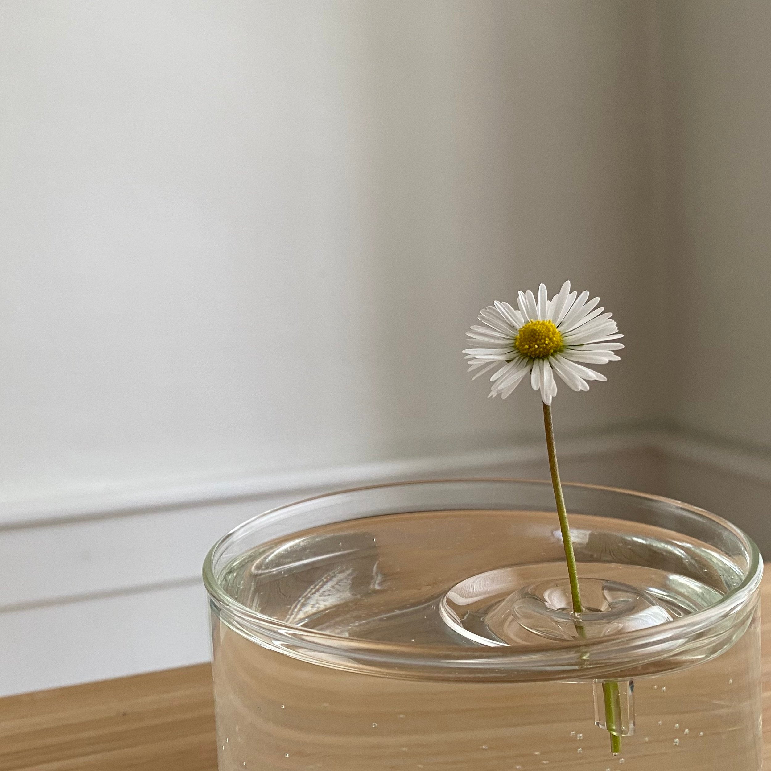 Floating Vase RIPPLE-oodesign-Tokoro