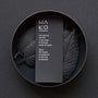 HA KO Black Box - Focus-HA KO-Tokoro