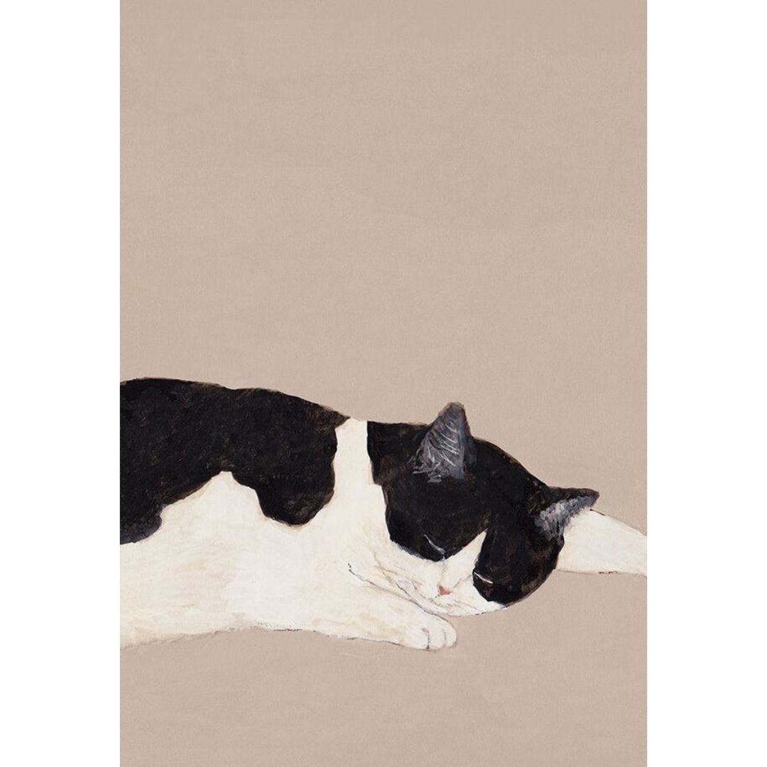 Postkarte 'Hachiware Neko' Megumi Sasaki-Megumi Sasaki-Tokoro