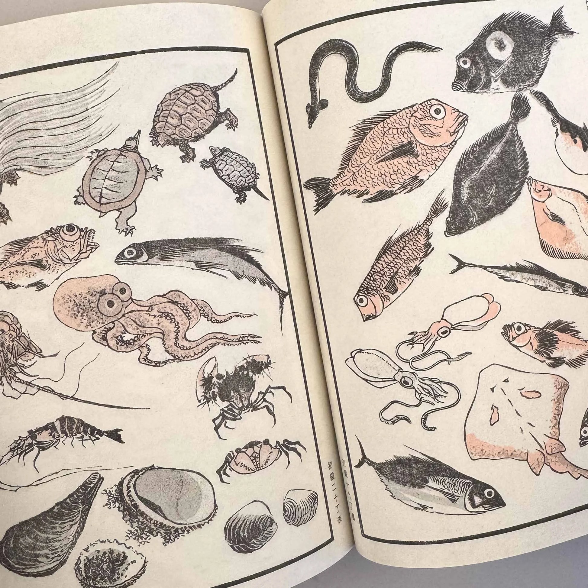 Hokusai Manga Vol. 2 - Le catalogue complet de la Terre