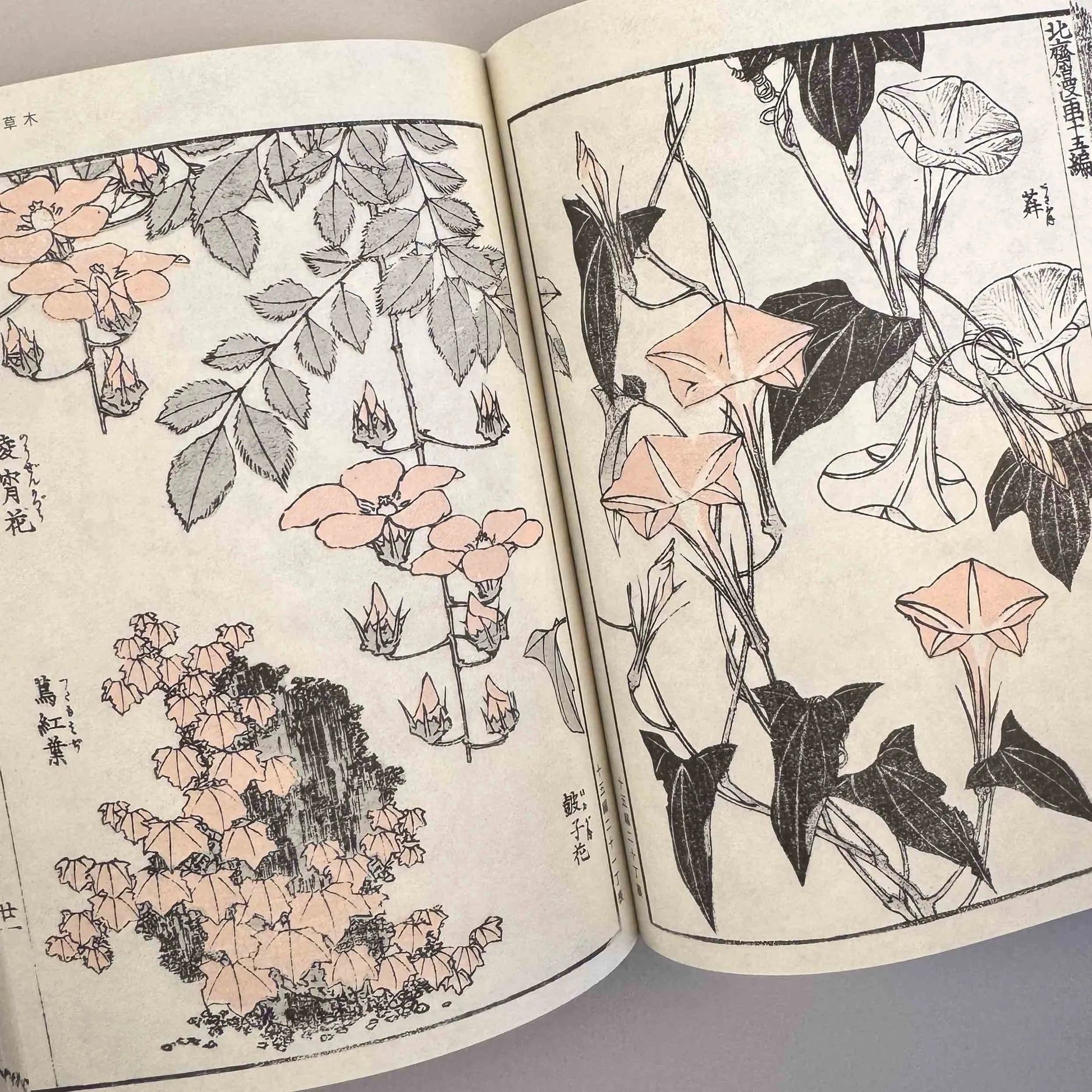 Hokusai Manga Vol. 2 - Le catalogue complet de la Terre