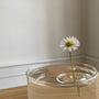 Floating Vase RIPPLE-oodesign-Tokoro