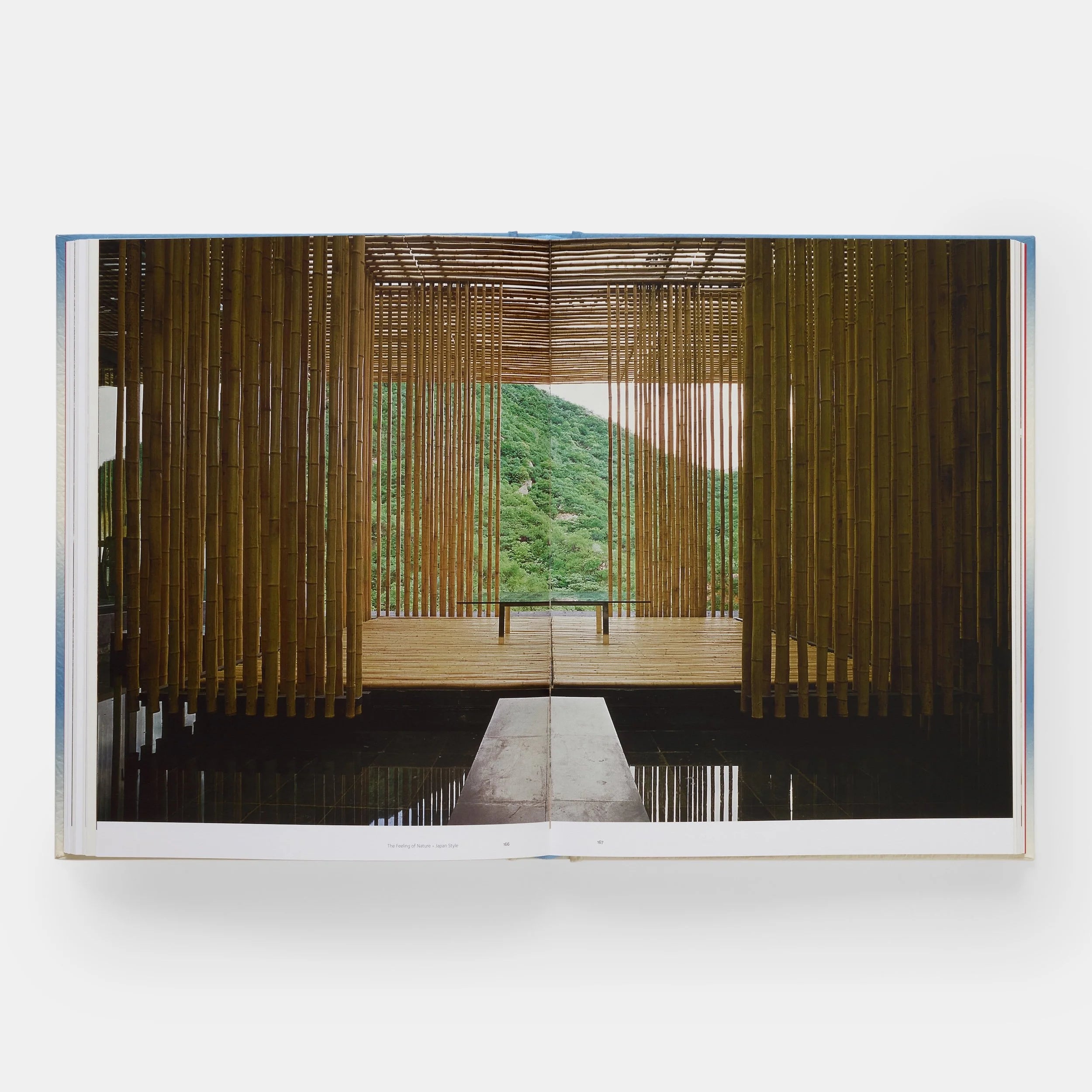 Japan Style | Gian Carlo Calza-Phaidon-Tokoro