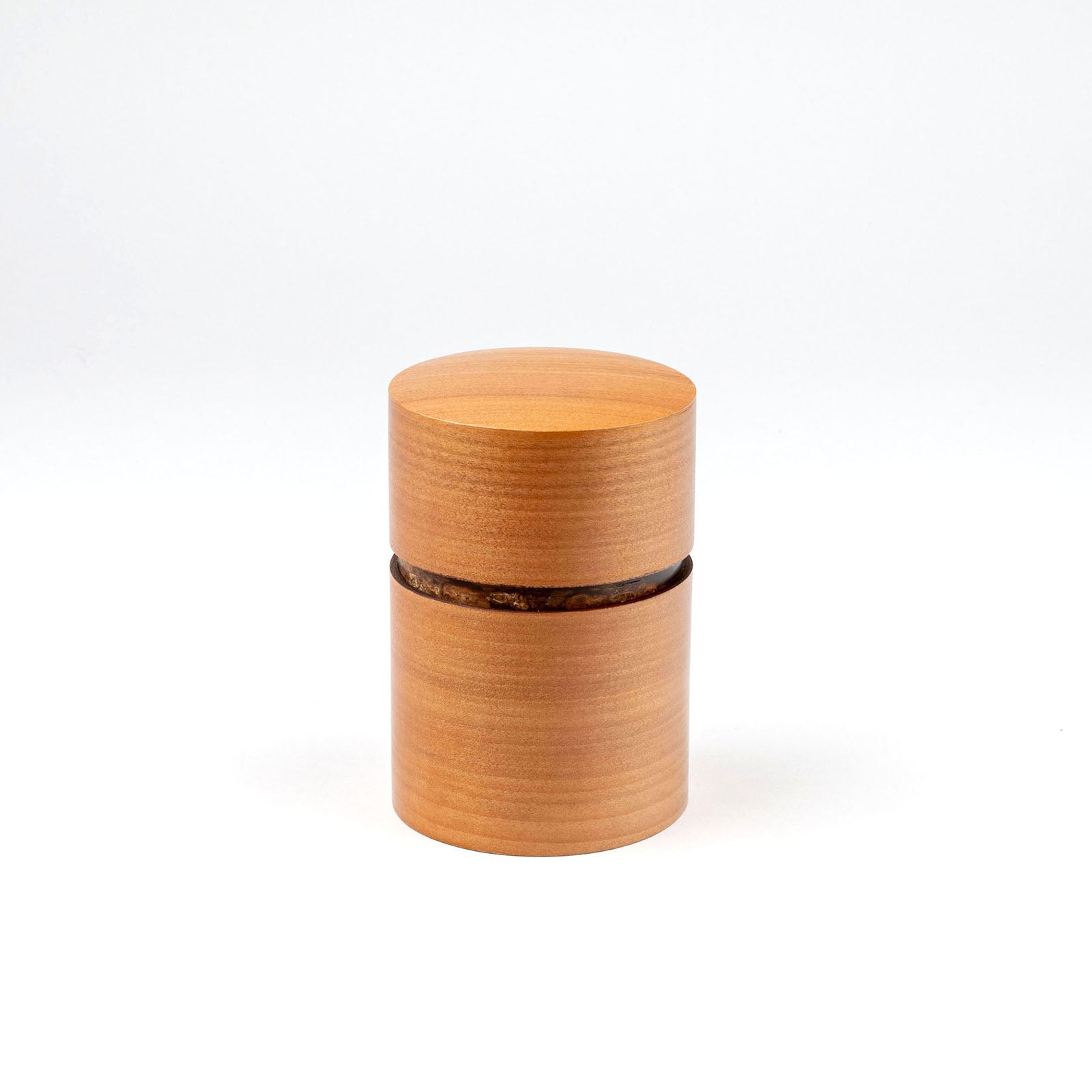 Kabazaiku Teedose | Fujiki Denshiro-Denshiro-Tokoro
