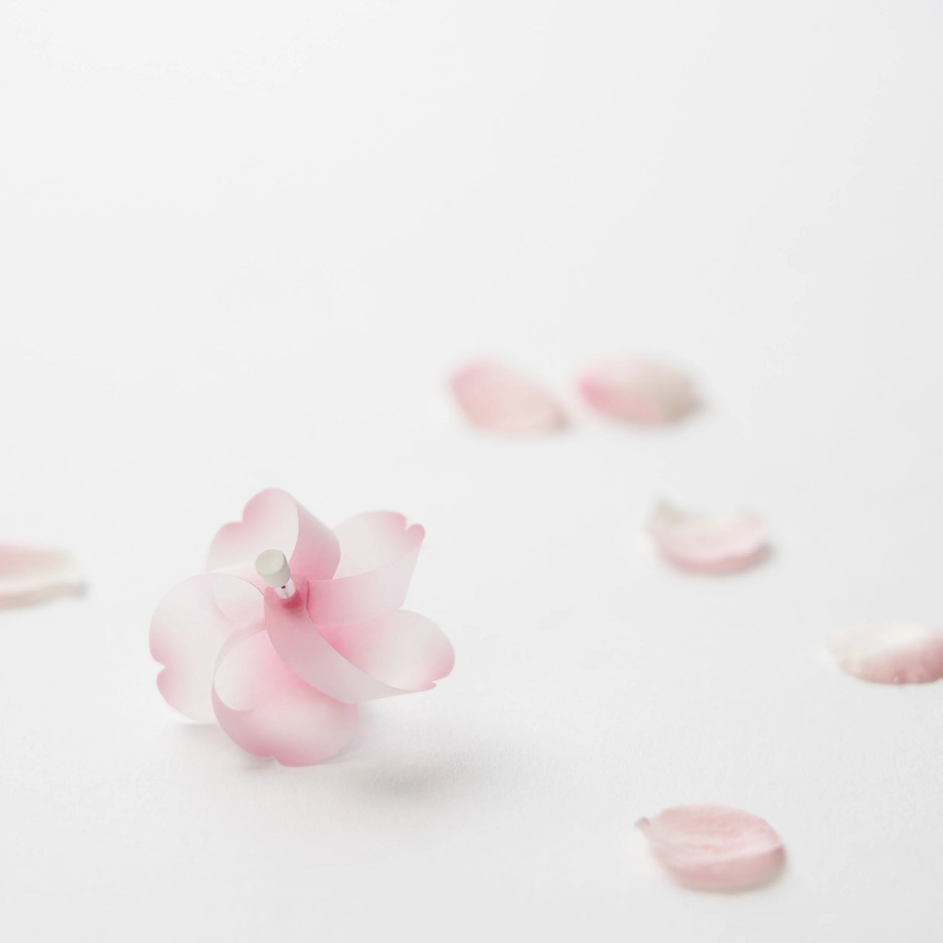 Sakura-Windrad Magnet (3er Set) | +d-+d-Tokoro