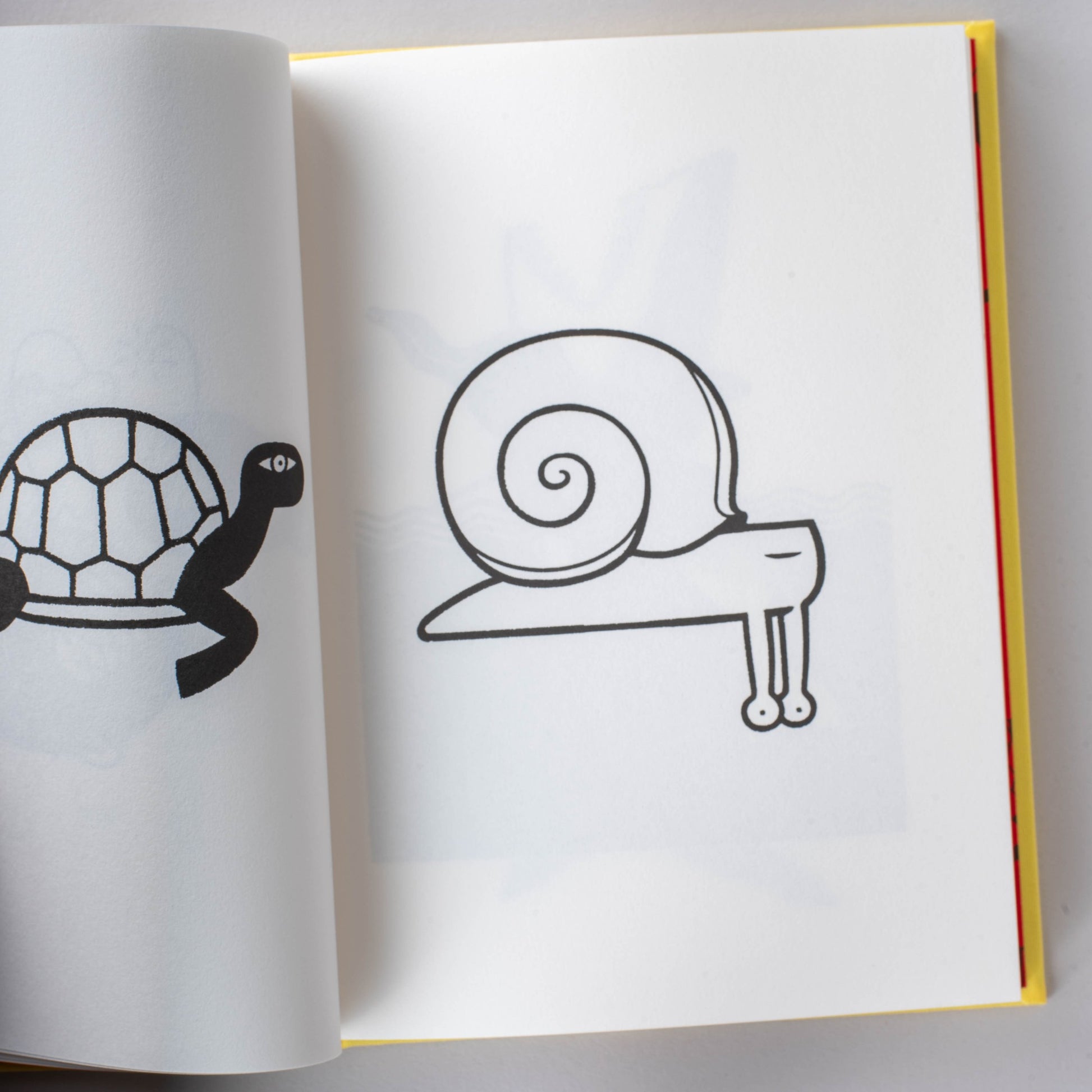 IDEATITY | Studio Takeuma-Studio Takeuma-Tokoro