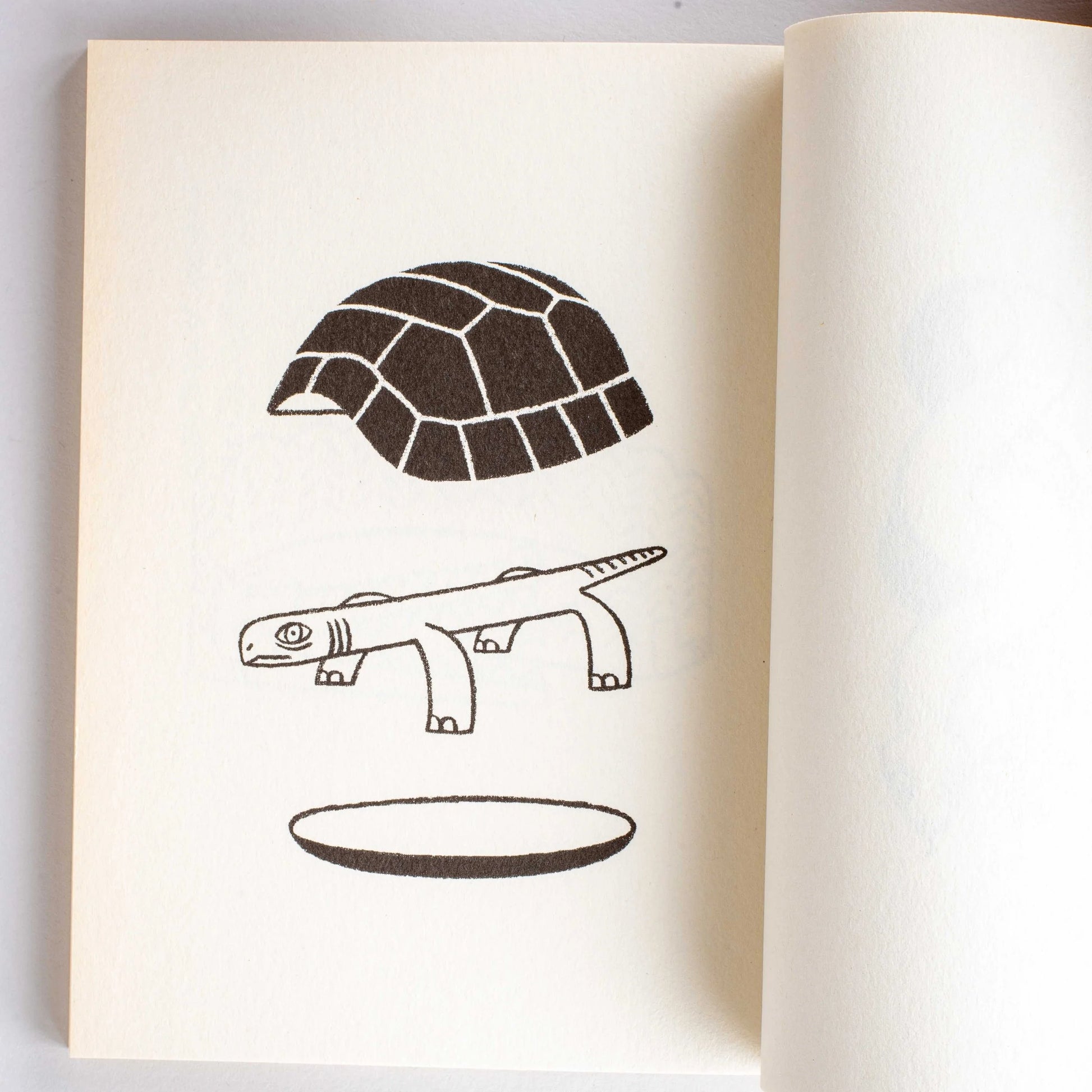 Hedgehog's Hug | Studio Takeuma-Studio Takeuma-Tokoro