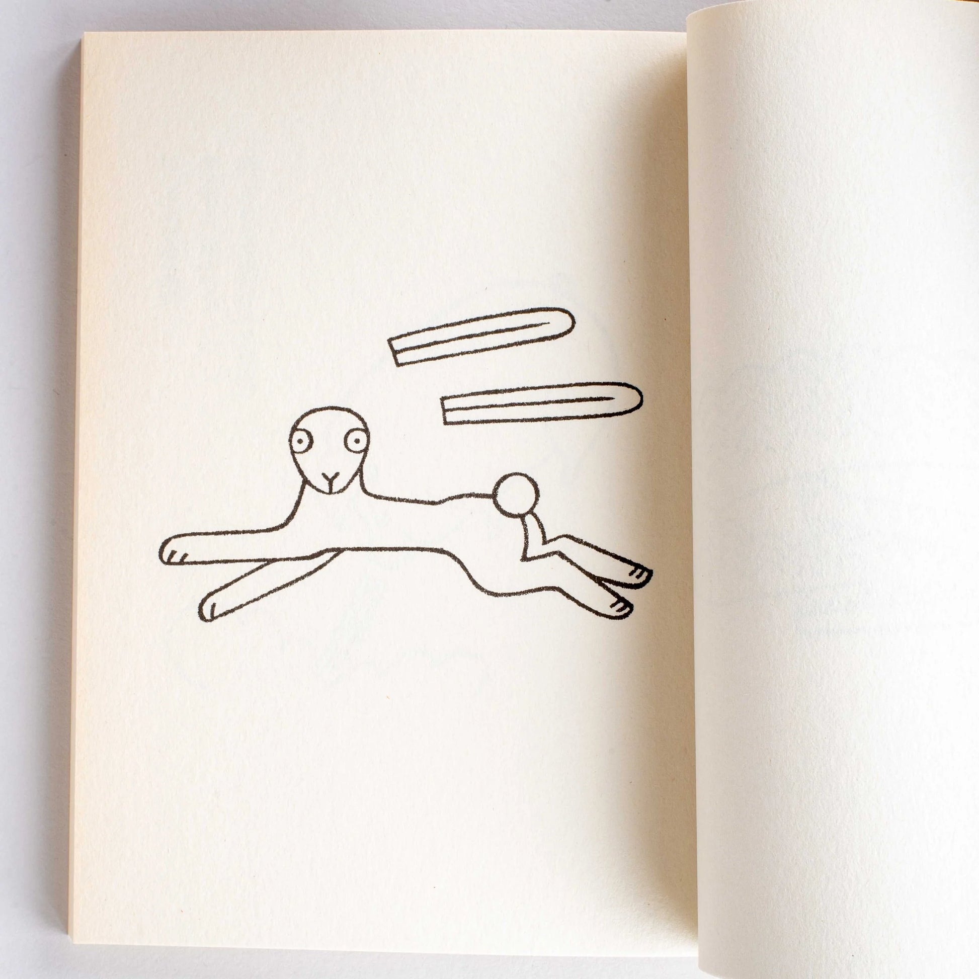 Hedgehog's Hug | Studio Takeuma-Studio Takeuma-Tokoro