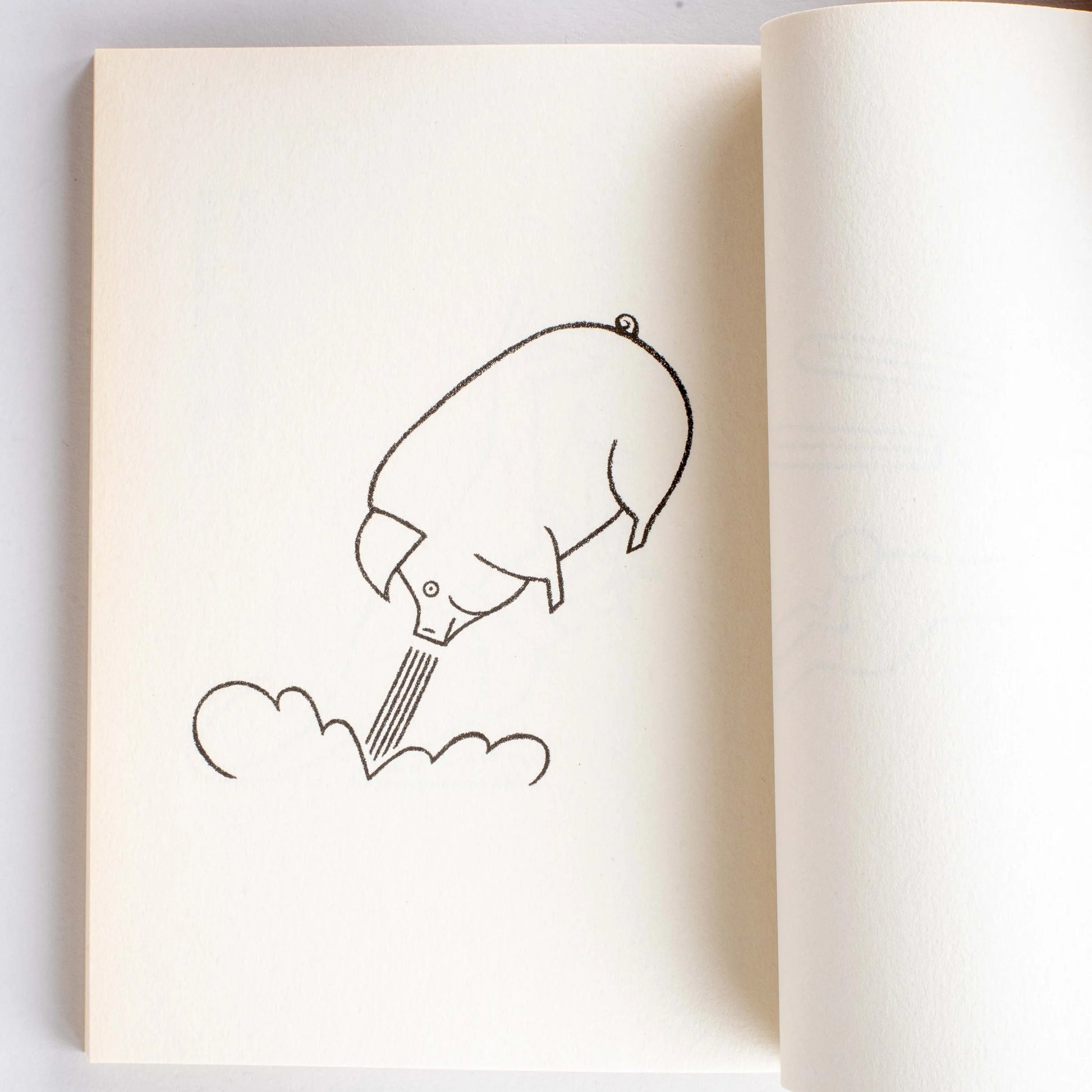 Hedgehog's Hug | Studio Takeuma-Studio Takeuma-Tokoro