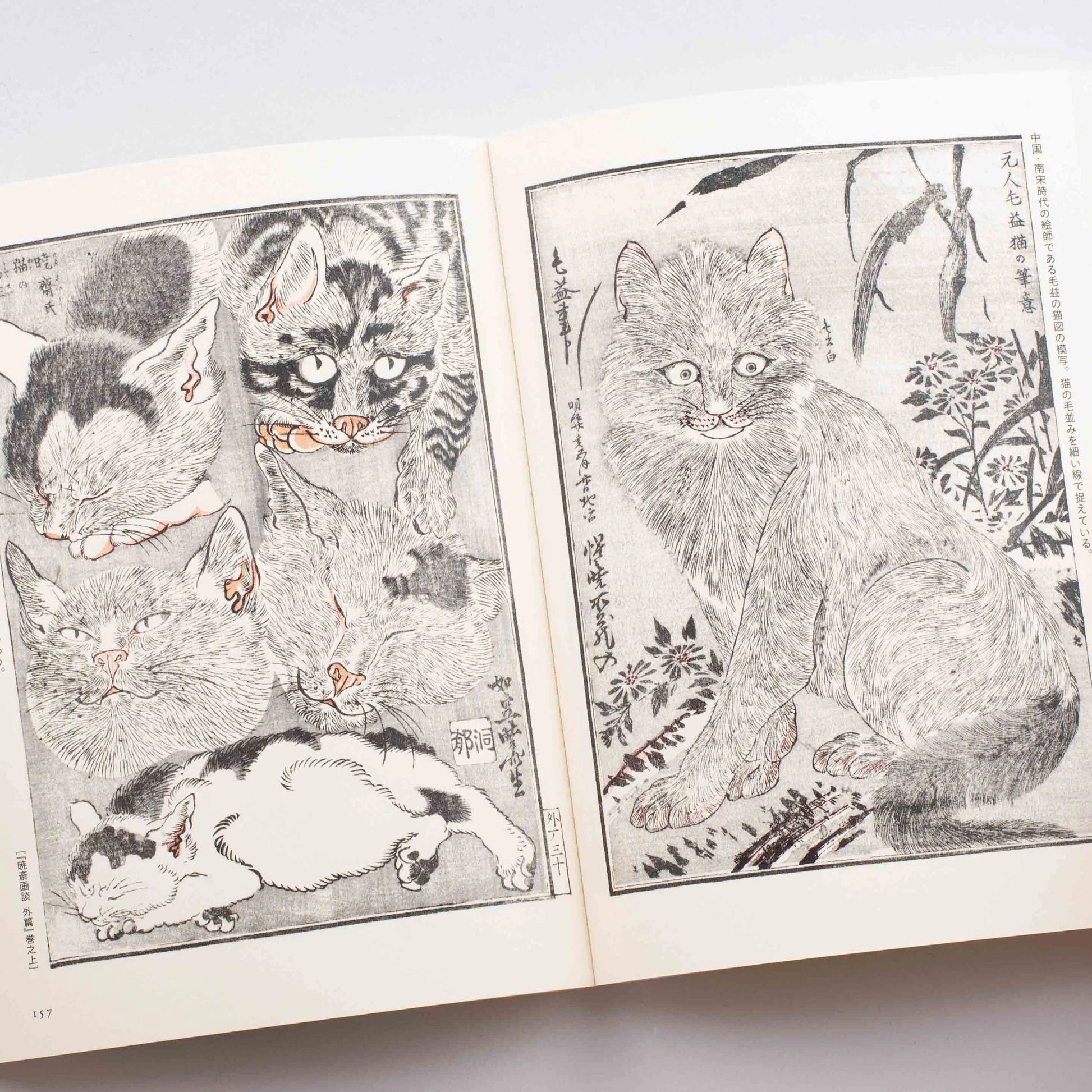 Livres d'images de Kawanabe Kyosai