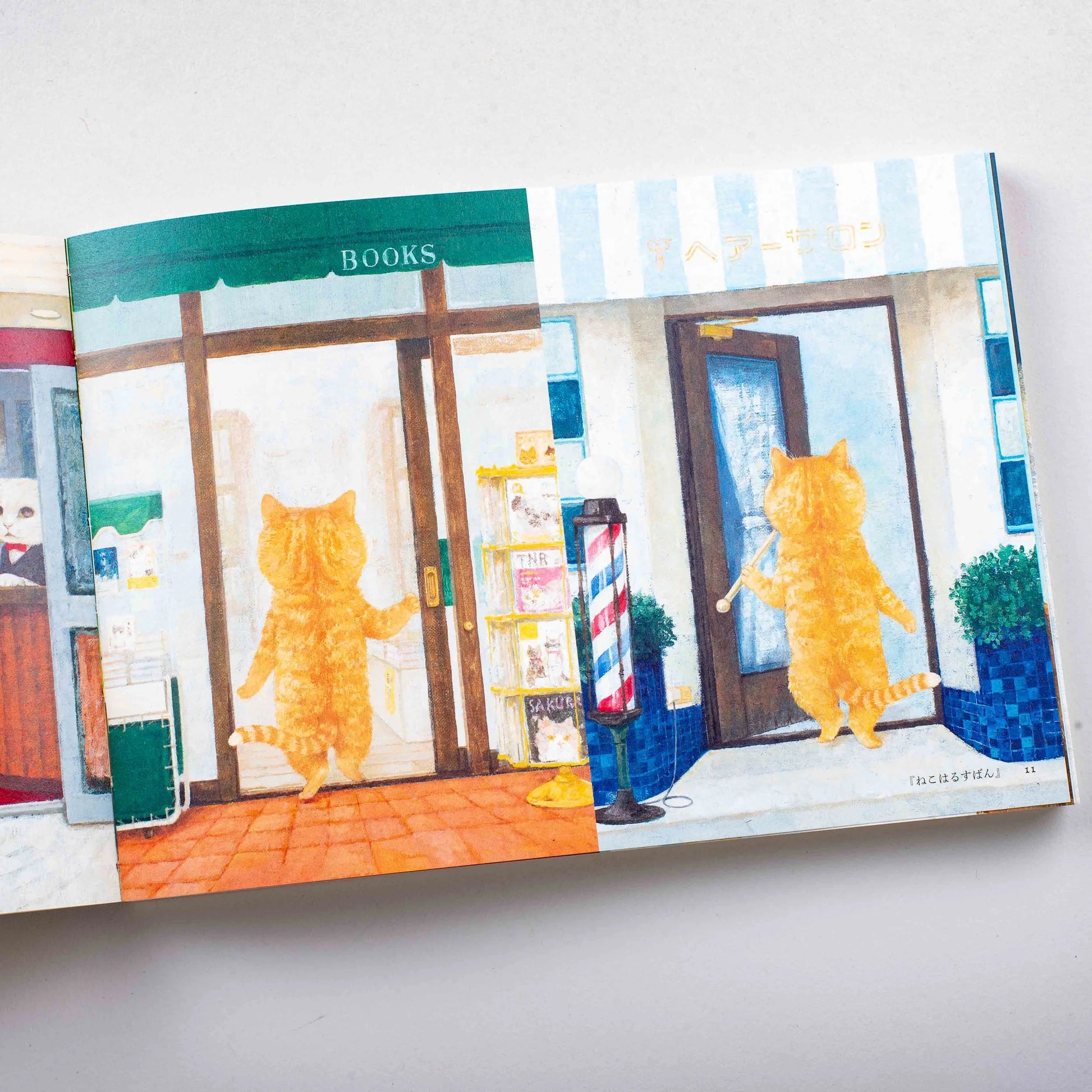 Des chats à tous les coins de rue | Naoko Machida