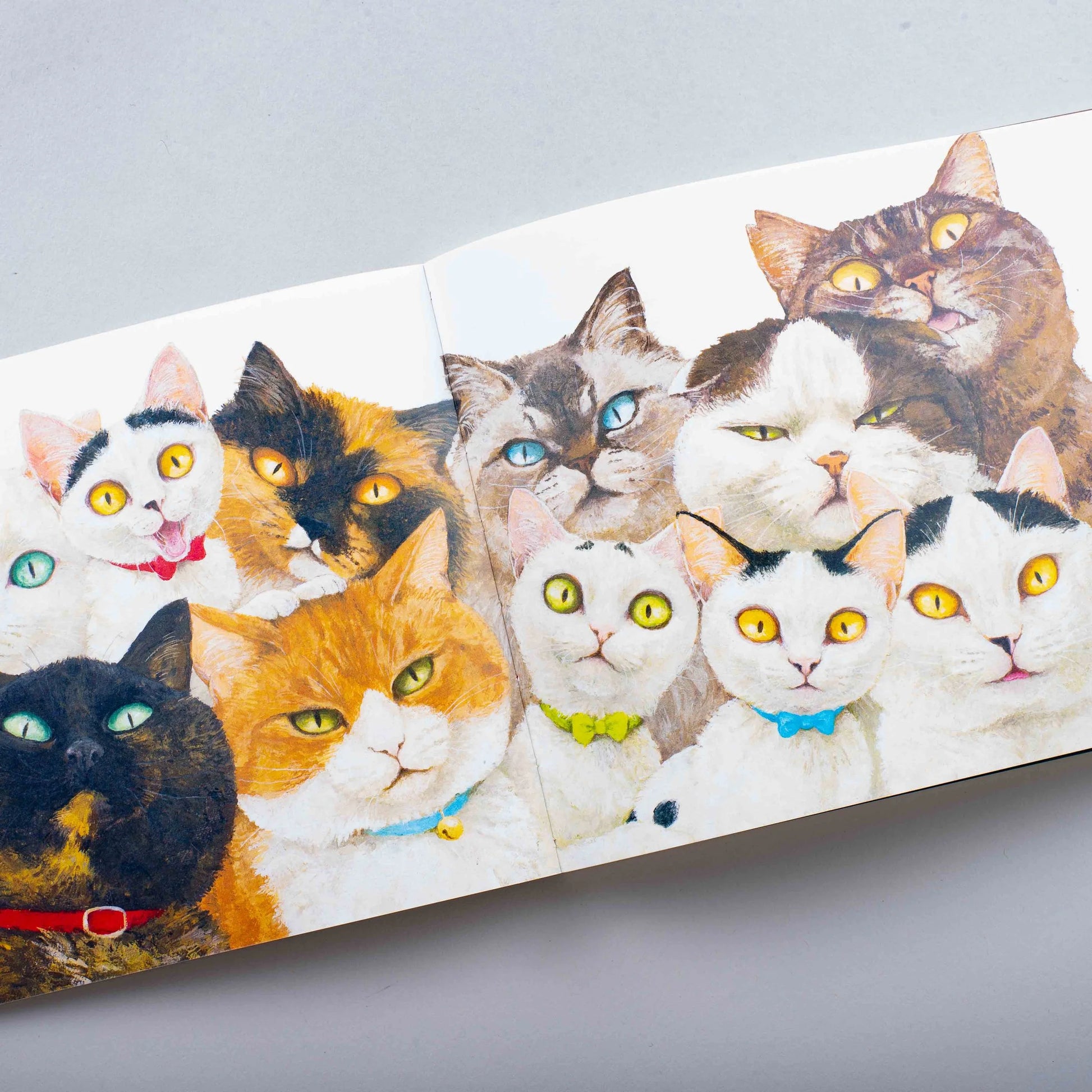 Des chats à tous les coins de rue | Naoko Machida