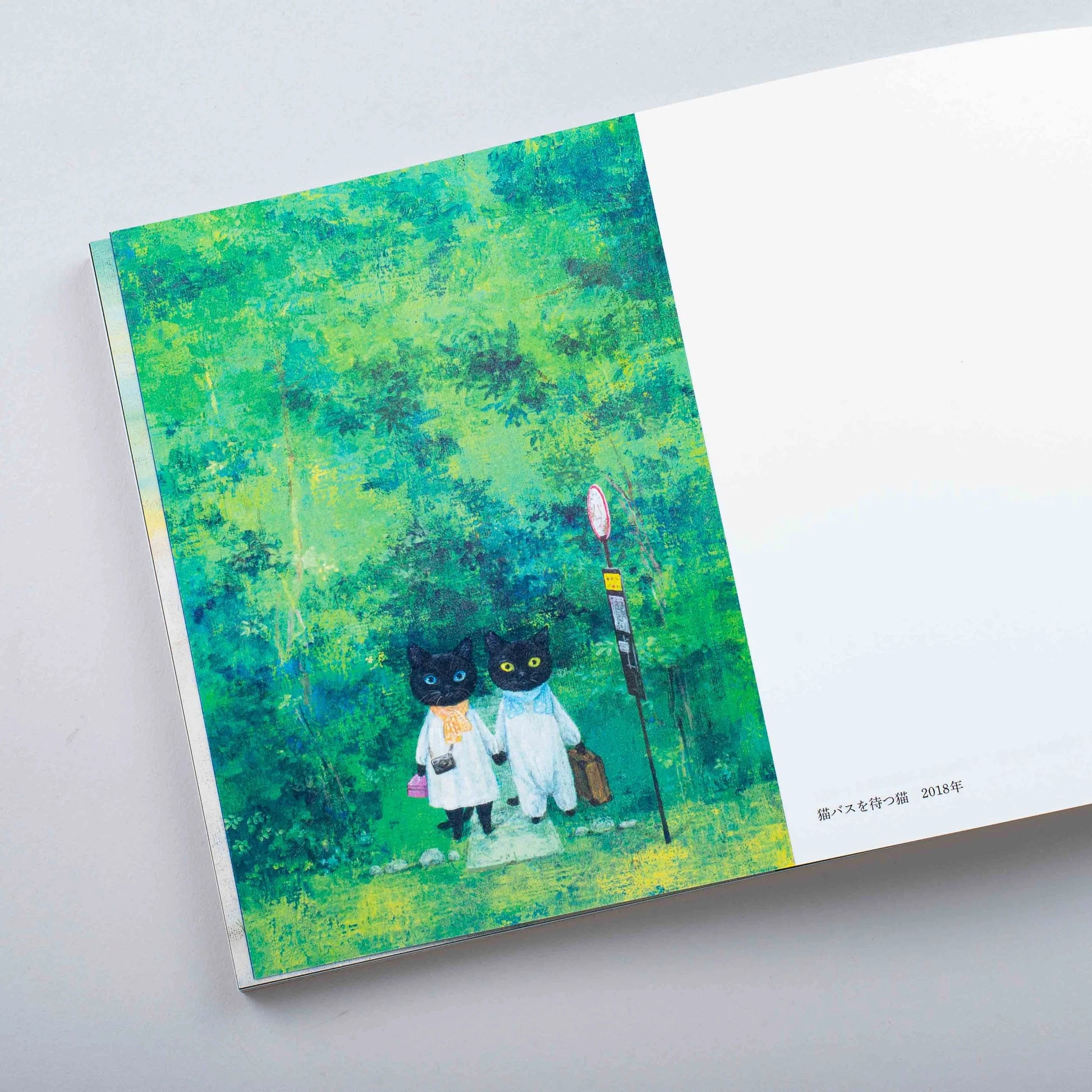 Des chats à tous les coins de rue | Naoko Machida