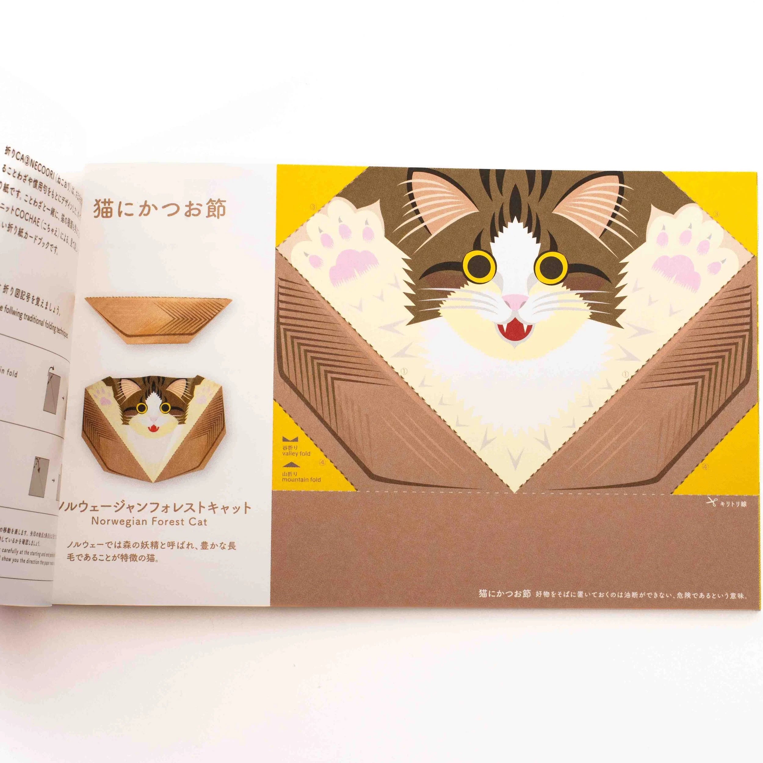 NECOORI Origami-Postkartenbuch-Seigensha-Tokoro