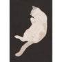 Postkarte 'Neko Gorogoro' | Megumi Sasaki-Megumi Sasaki-Tokoro