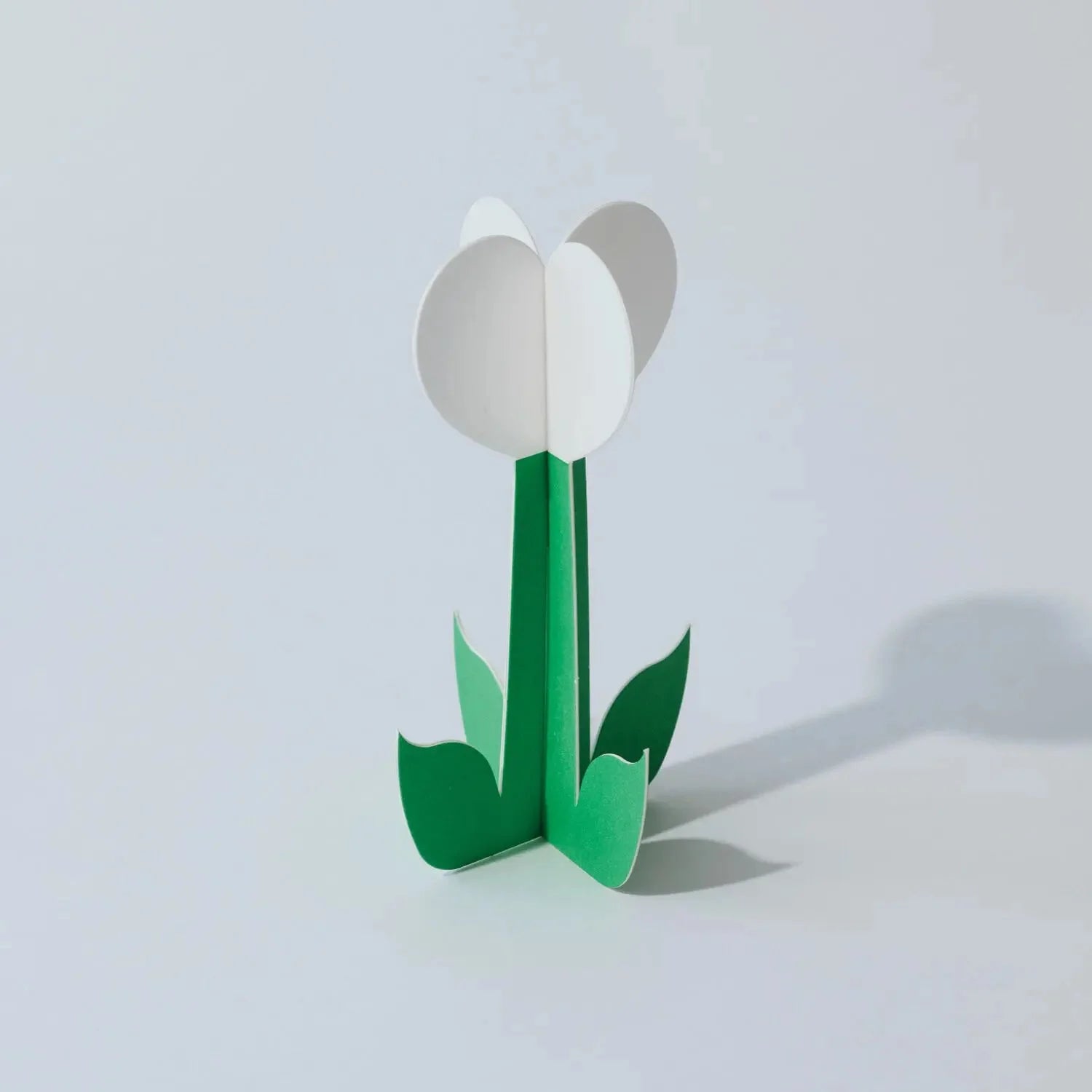 Paper Flower White | Cochae-Cochae-Tokoro