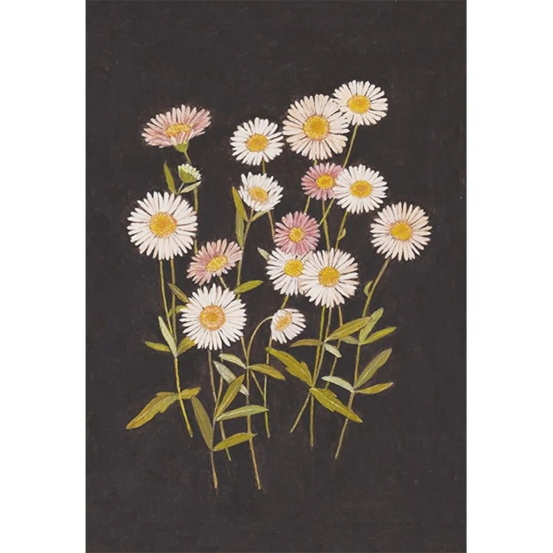 Postkarte 'Perapera Yomena' | Megumi Sasaki-Megumi Sasaki-Tokoro