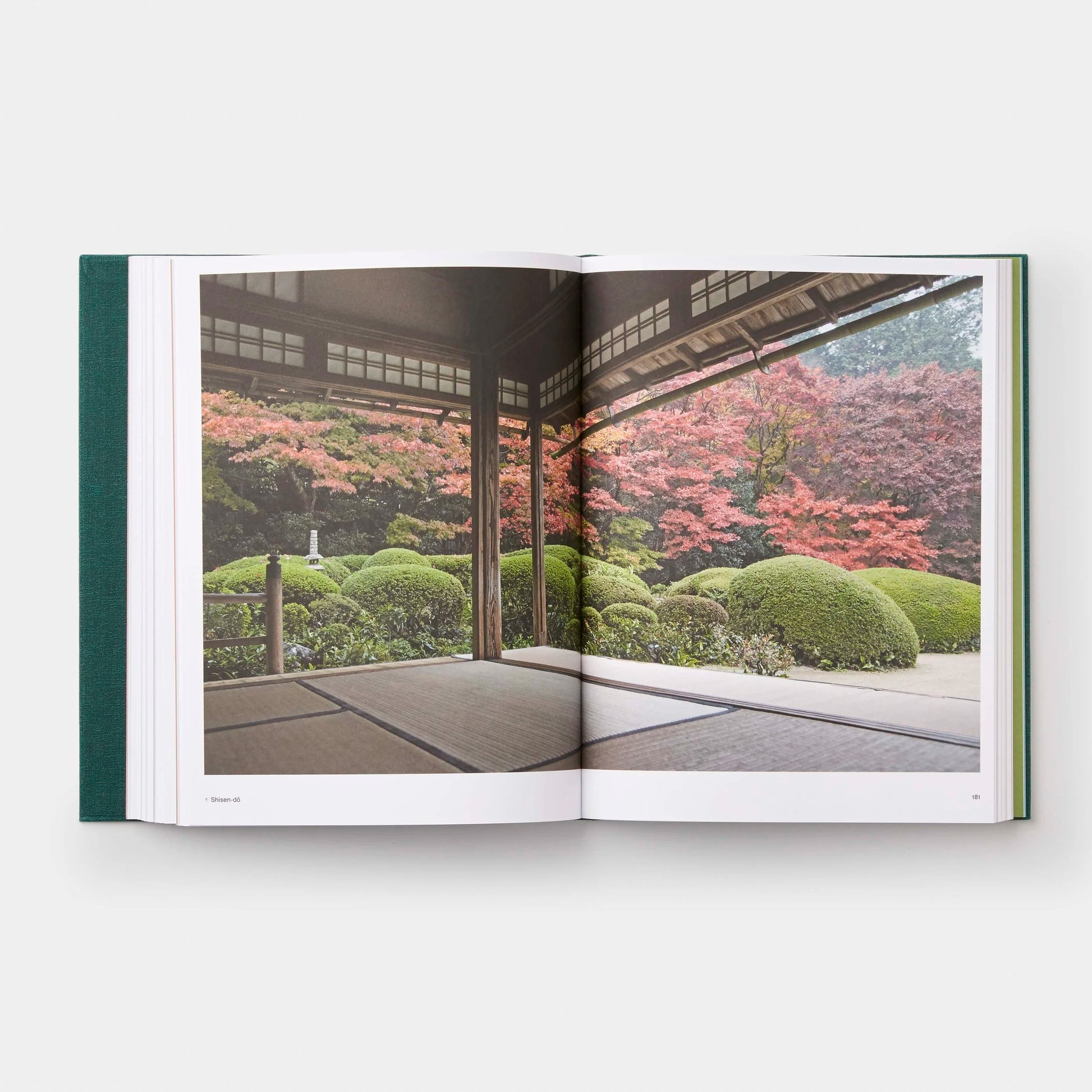 The Japanese Garden | Sophie Walker-Phaidon-Tokoro