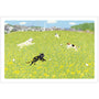Tabineko Postkarte - Frühling: Im Rapsfeld-Active-Tokoro
