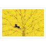 Tabineko Postkarte - Herbst: Im Ginkgobaum-Active-Tokoro