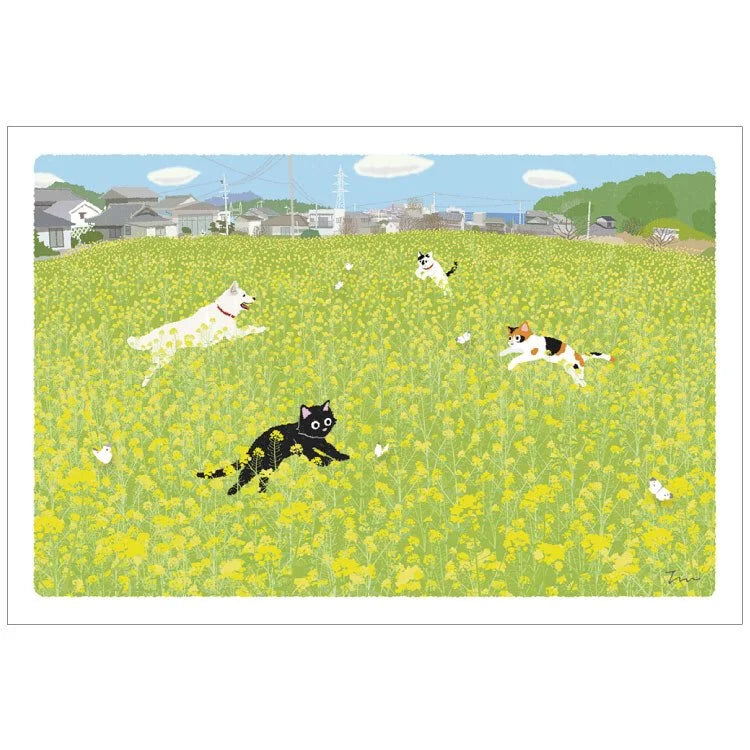 Tabineko Postcard - Spring: In the rapeseed field 