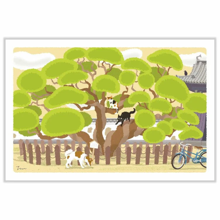 Tabineko Postcard - Spring: Large Pine 
