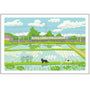 Tabineko Postkarte - Sommer: Reisfelder-Active-Tokoro
