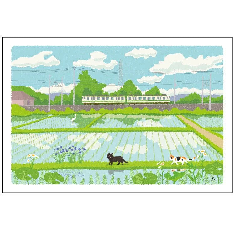 Tabineko Postkarte - Sommer: Reisfelder-Active-Tokoro