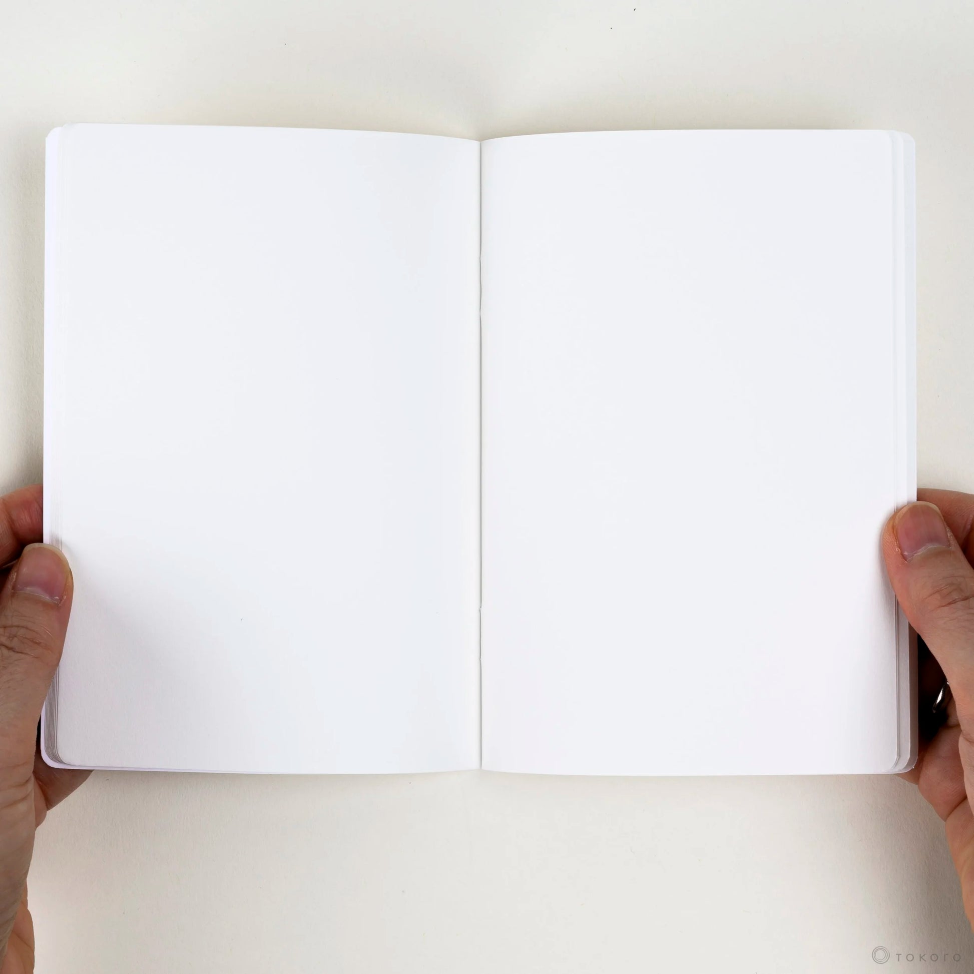 Kleines Notizbuch NOT SCARY DOG | Noritake-Noritake-Tokoro