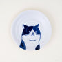 Shichita Katzenteller - Cat Plate | 16 cm-YAMAKATSU MINOTOEN-Mike-Tokoro