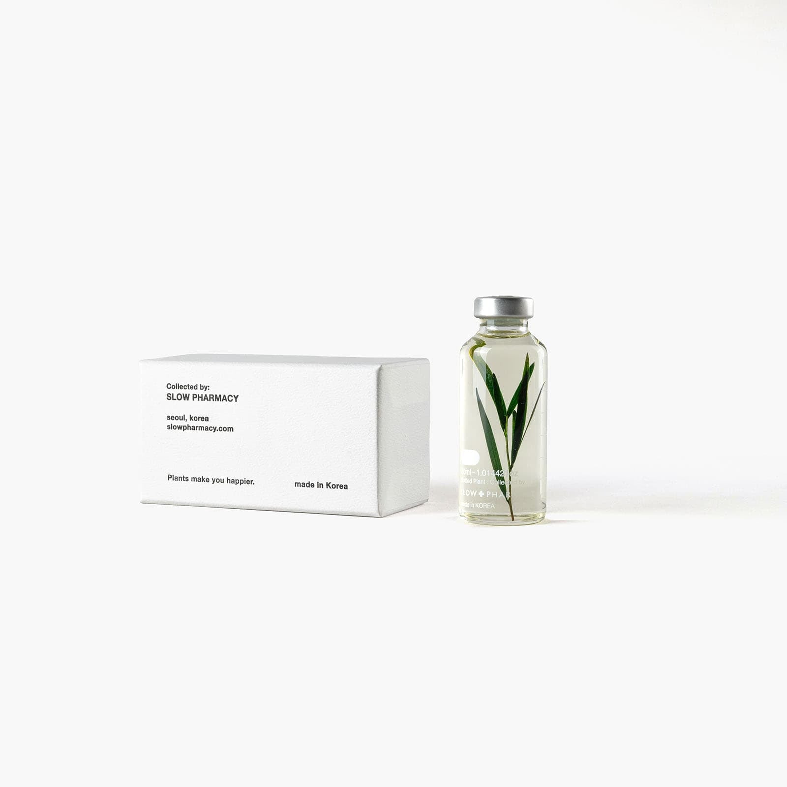 Bottle Plant - Melaleuca alternifolia| Slow Pharmacy