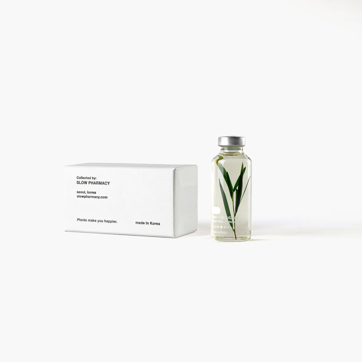 Bottle Plant - Melaleuca alternifolia| Slow Pharmacy