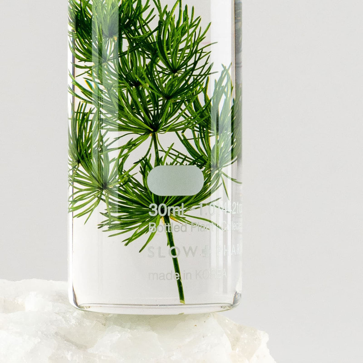 Bottle Plant - Myriophyllum | Slow Pharmacy
