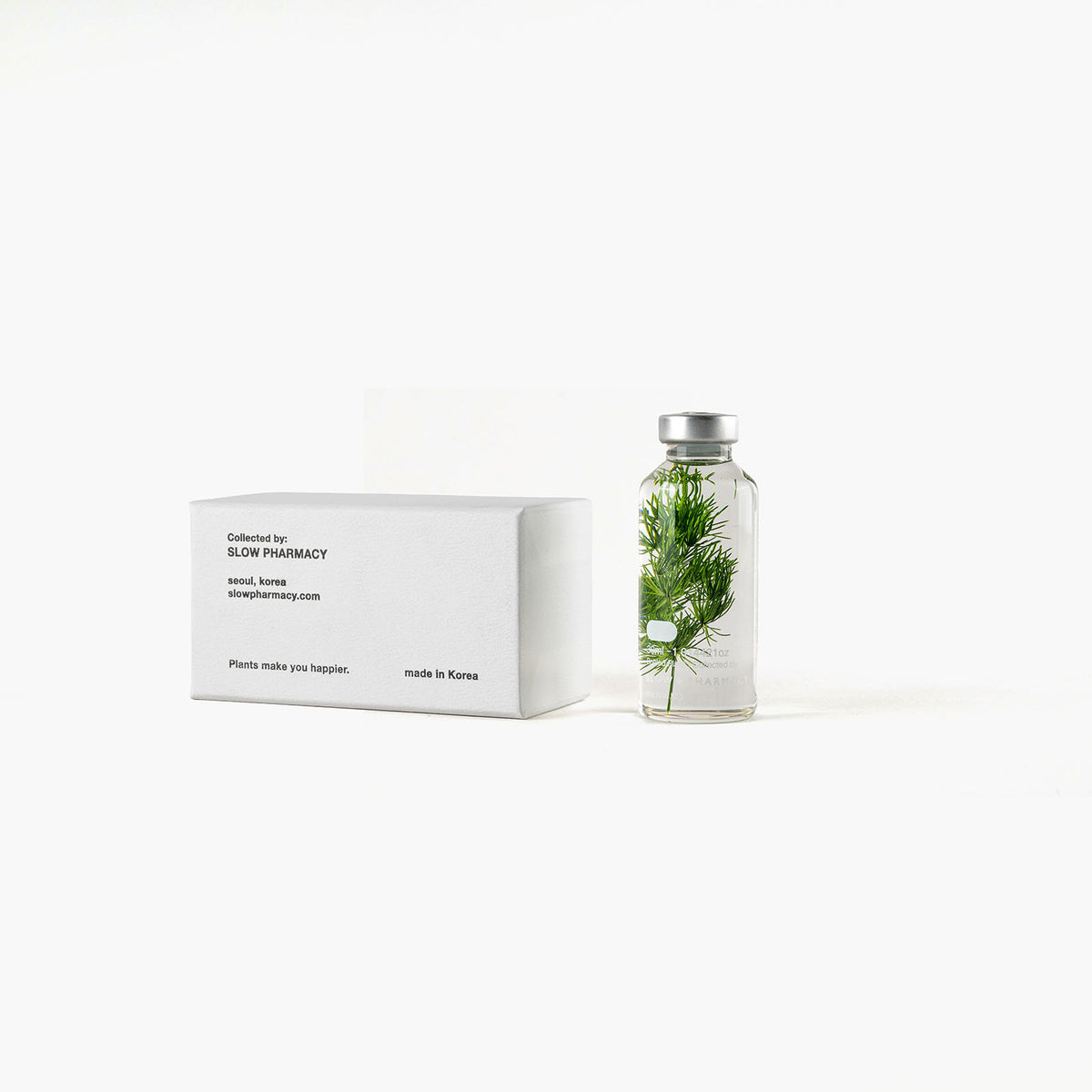 Bottle Plant - Myriophyllum | Slow Pharmacy