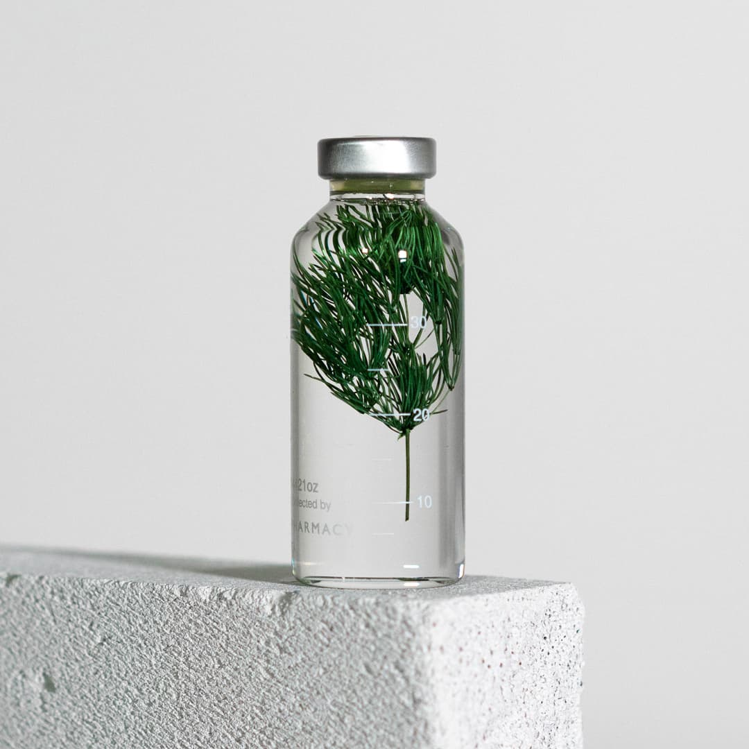 Bottle Plant - Myriophyllum | Slow Pharmacy
