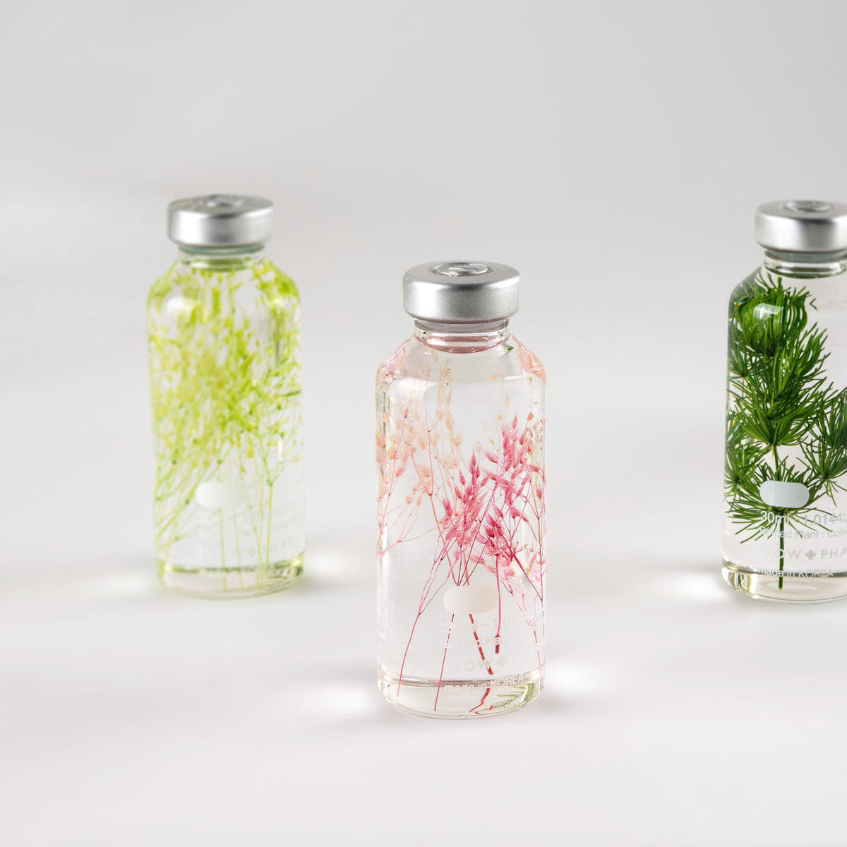 Bottle Plant - Peacock Grass Pink | Slow Pharmacy