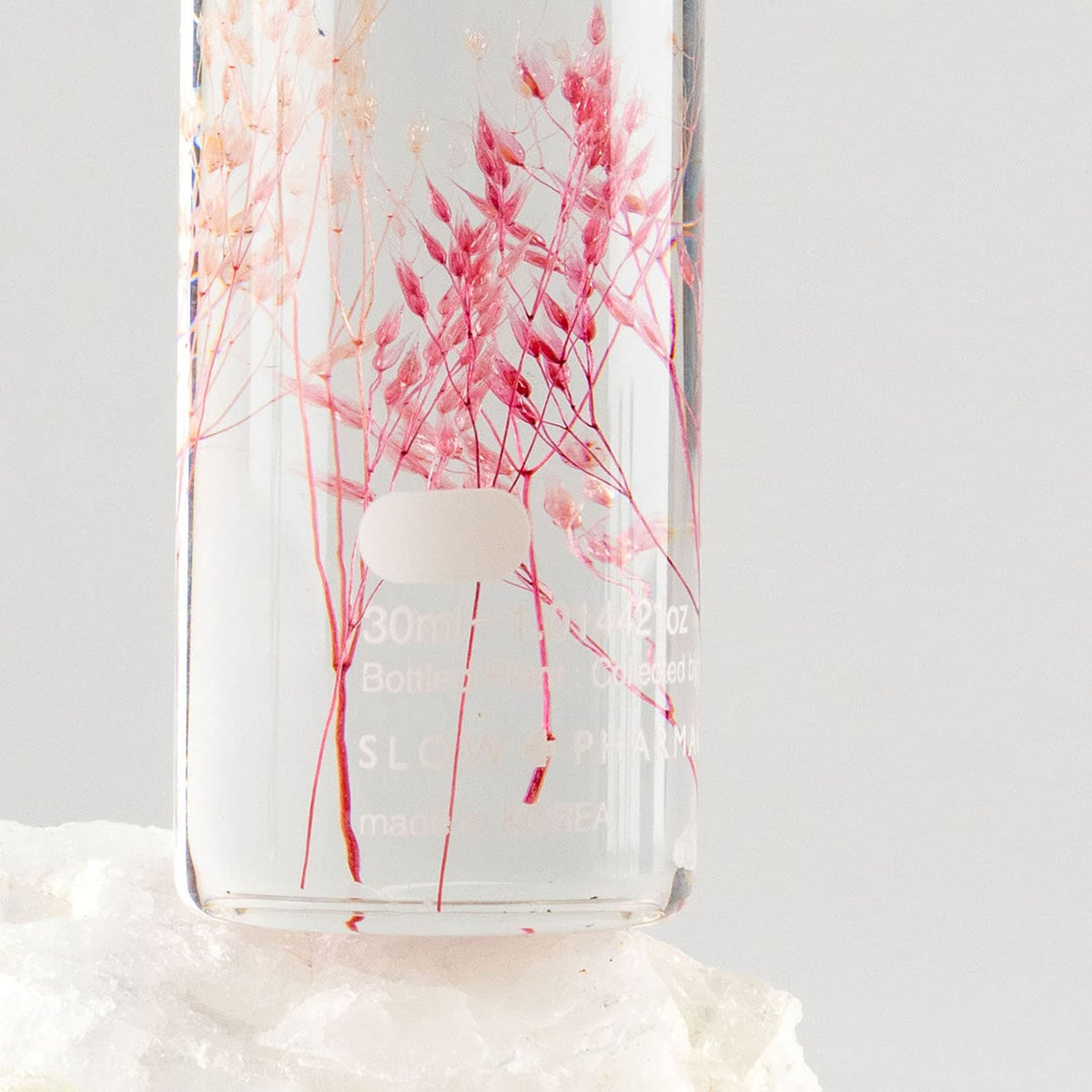 Bottle Plant - Peacock Grass Pink | Slow Pharmacy