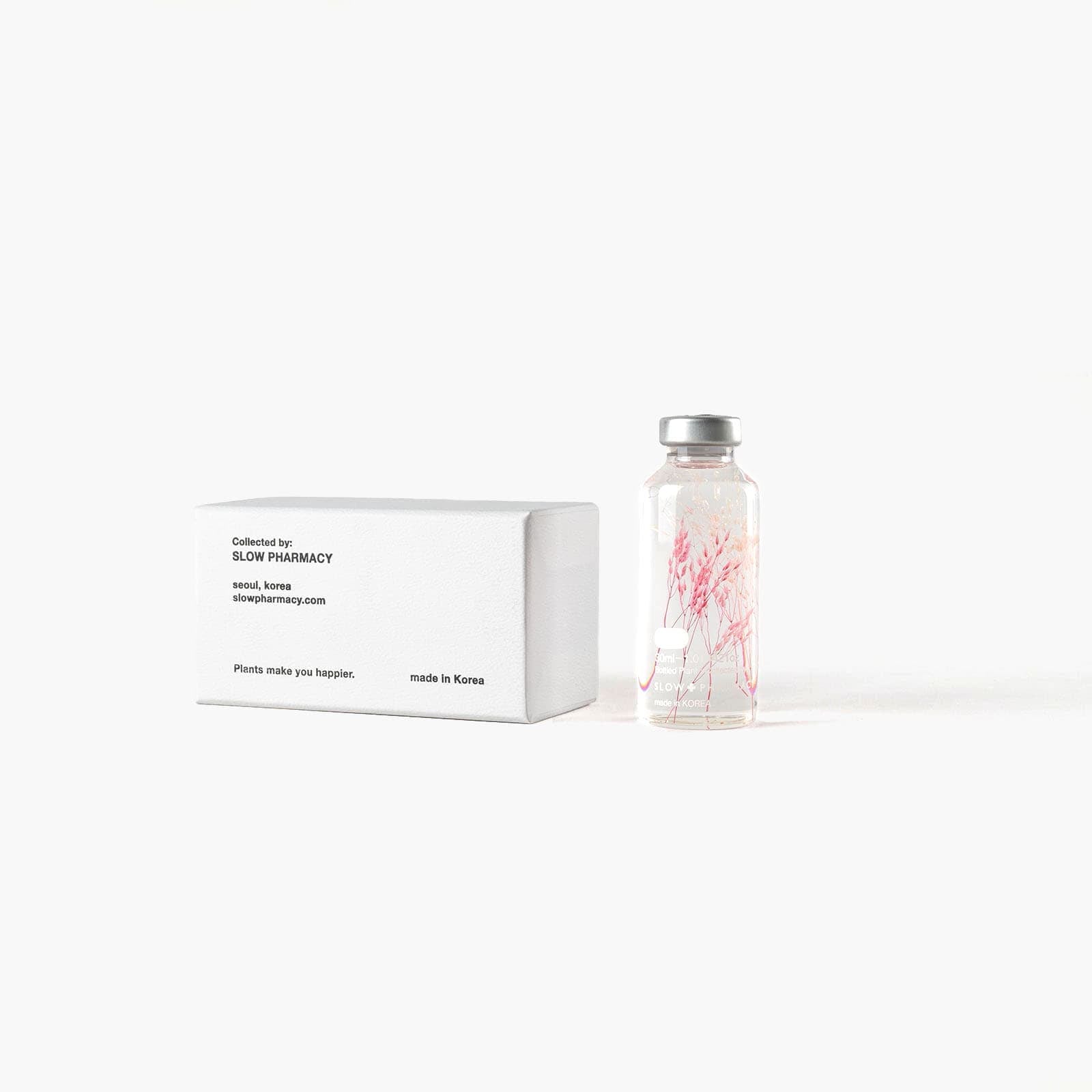 Bottle Plant - Peacock Grass Pink | Slow Pharmacy
