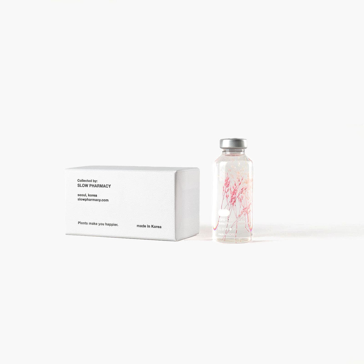 Bottle Plant - Peacock Grass Pink | Slow Pharmacy