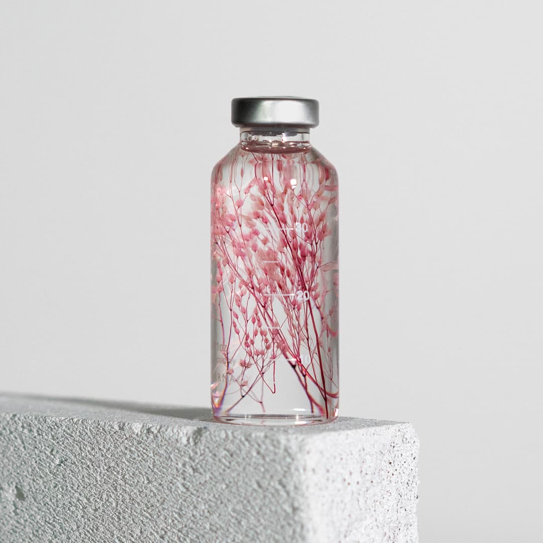 Bottle Plant - Peacock Grass Pink | Slow Pharmacy