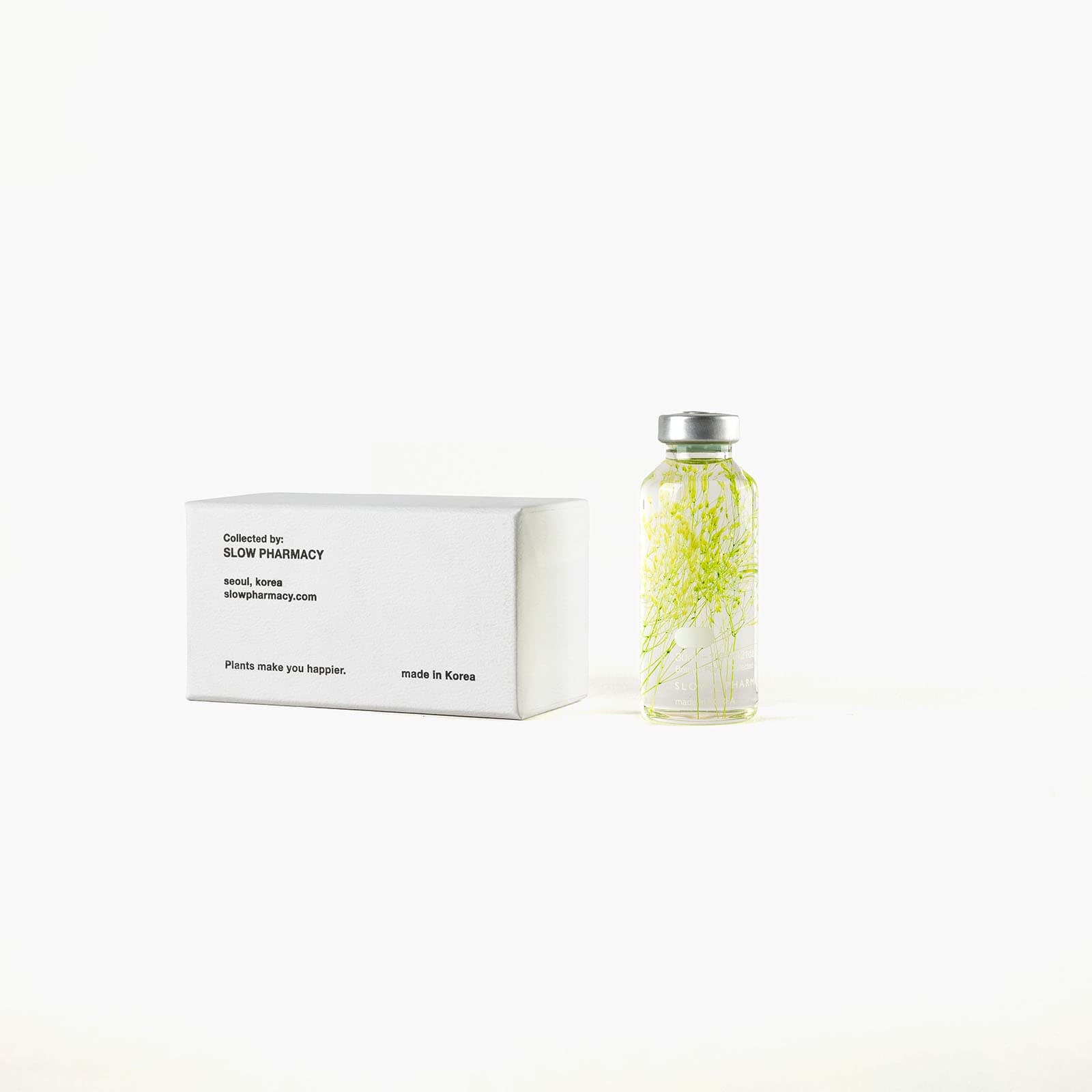 Bottle Plant - Peacock Grass | Slow Pharmacy