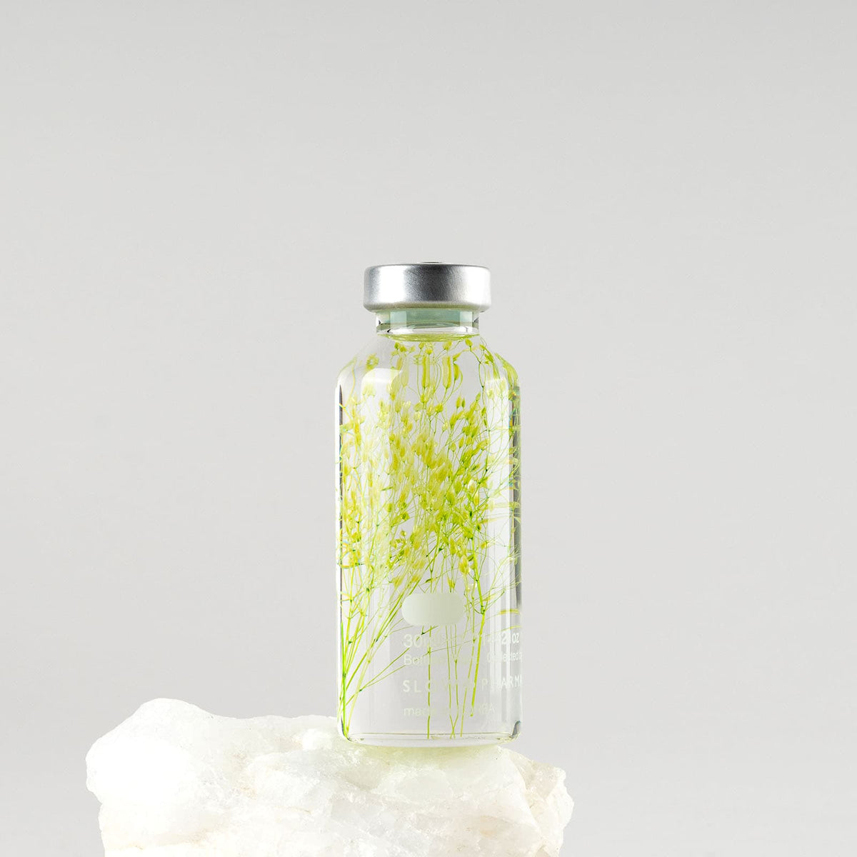 Bottle Plant - Peacock Grass | Slow Pharmacy