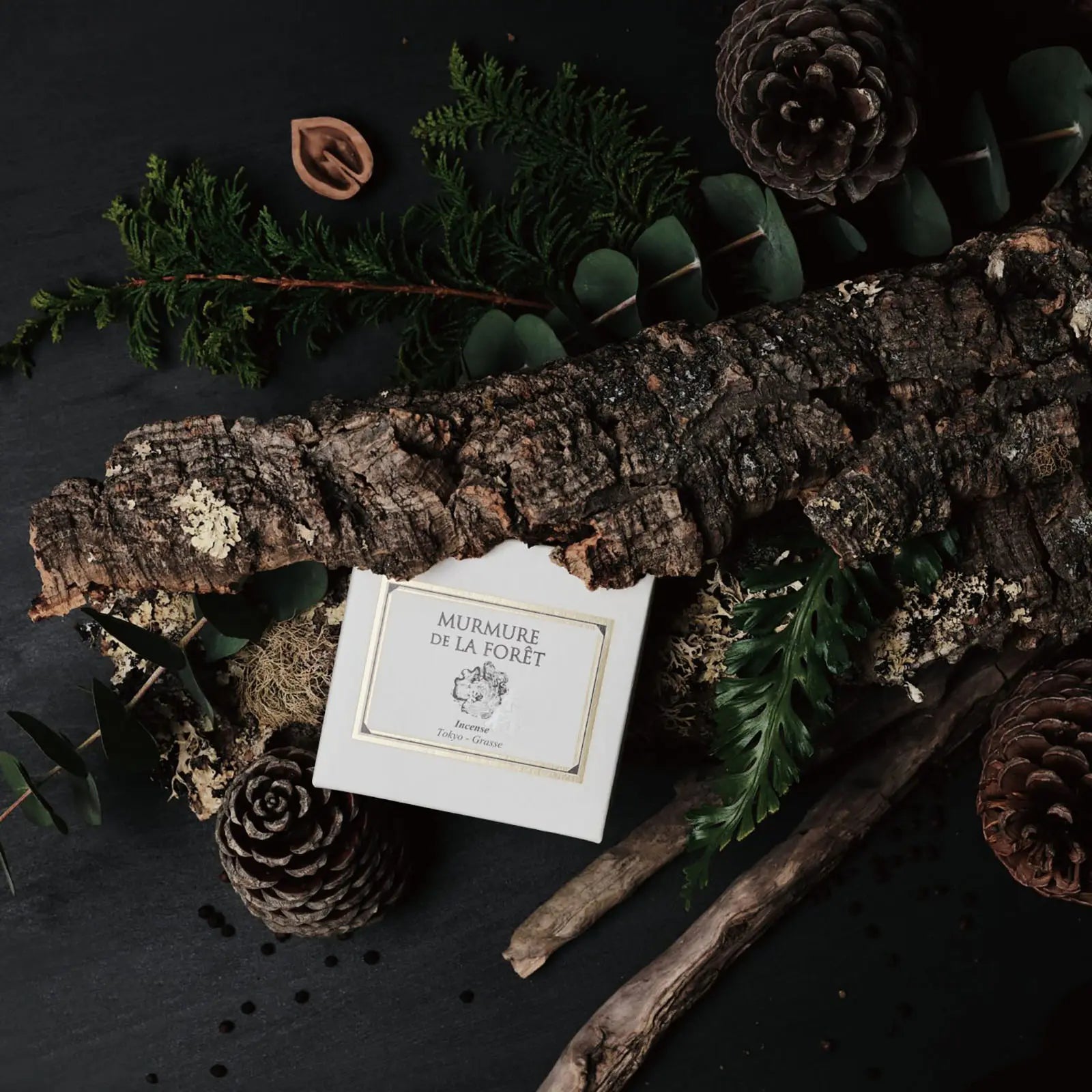 Räucherstäbchen 'Murmure de la Forêt' | Tokyo Kodo